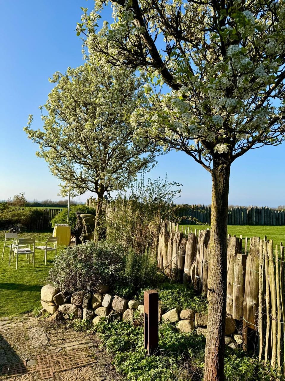 Natural landscape, Garden, Garden view