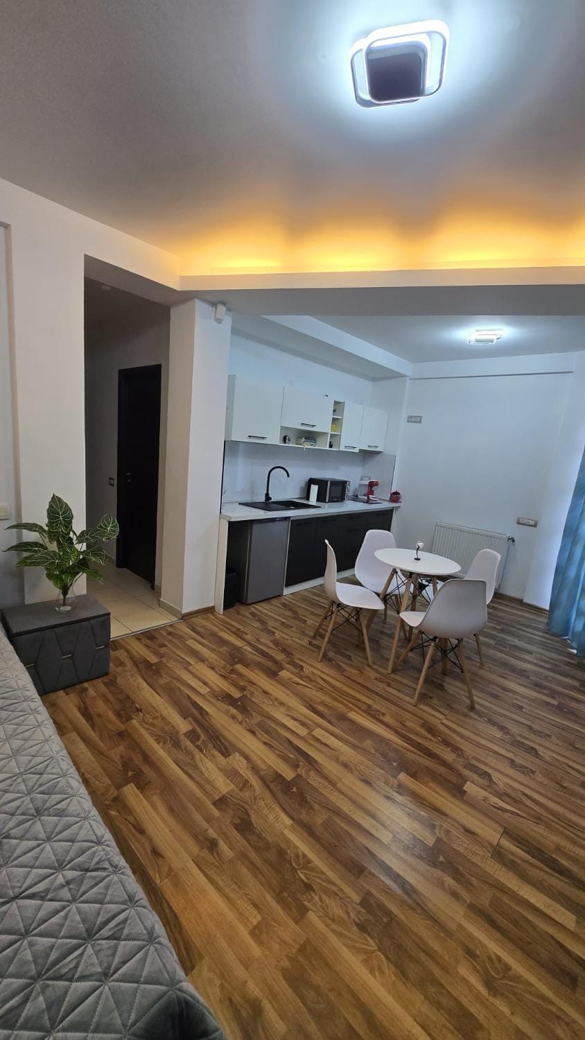 Kitchen or kitchenette, Living room, Seating area, Dining area