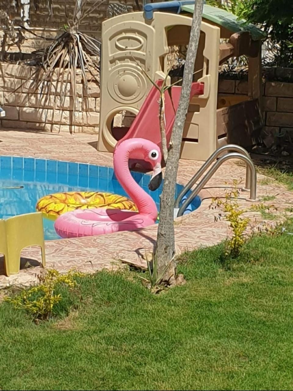 Swimming pool