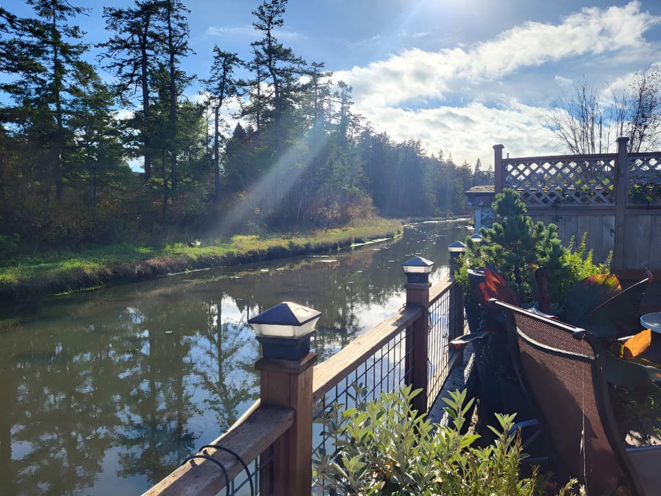 Natural landscape, River view