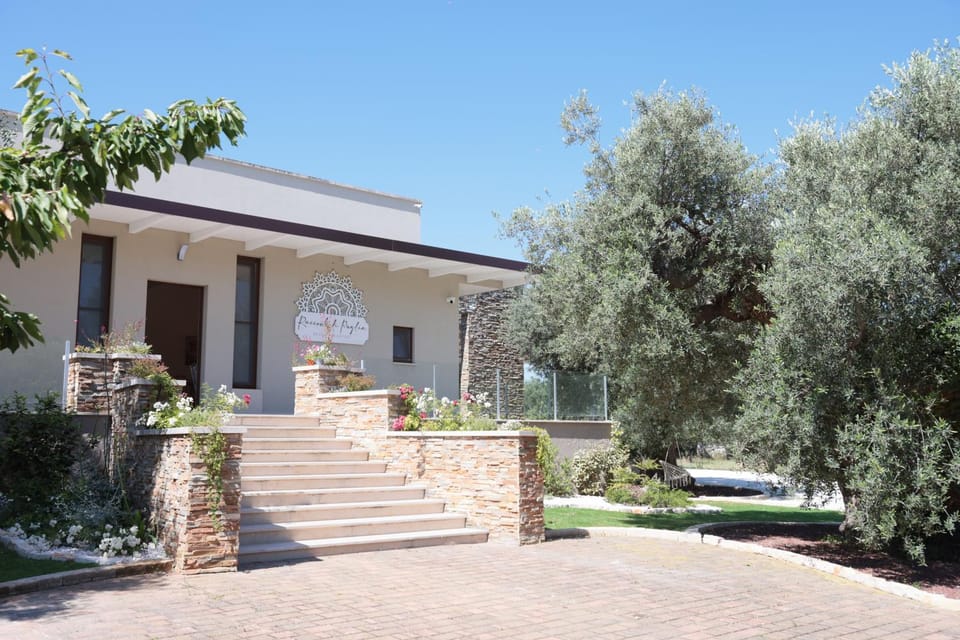 Property building, Garden view