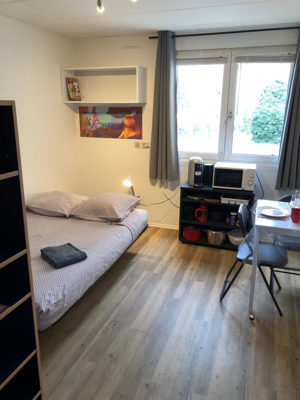 Photo of the whole room