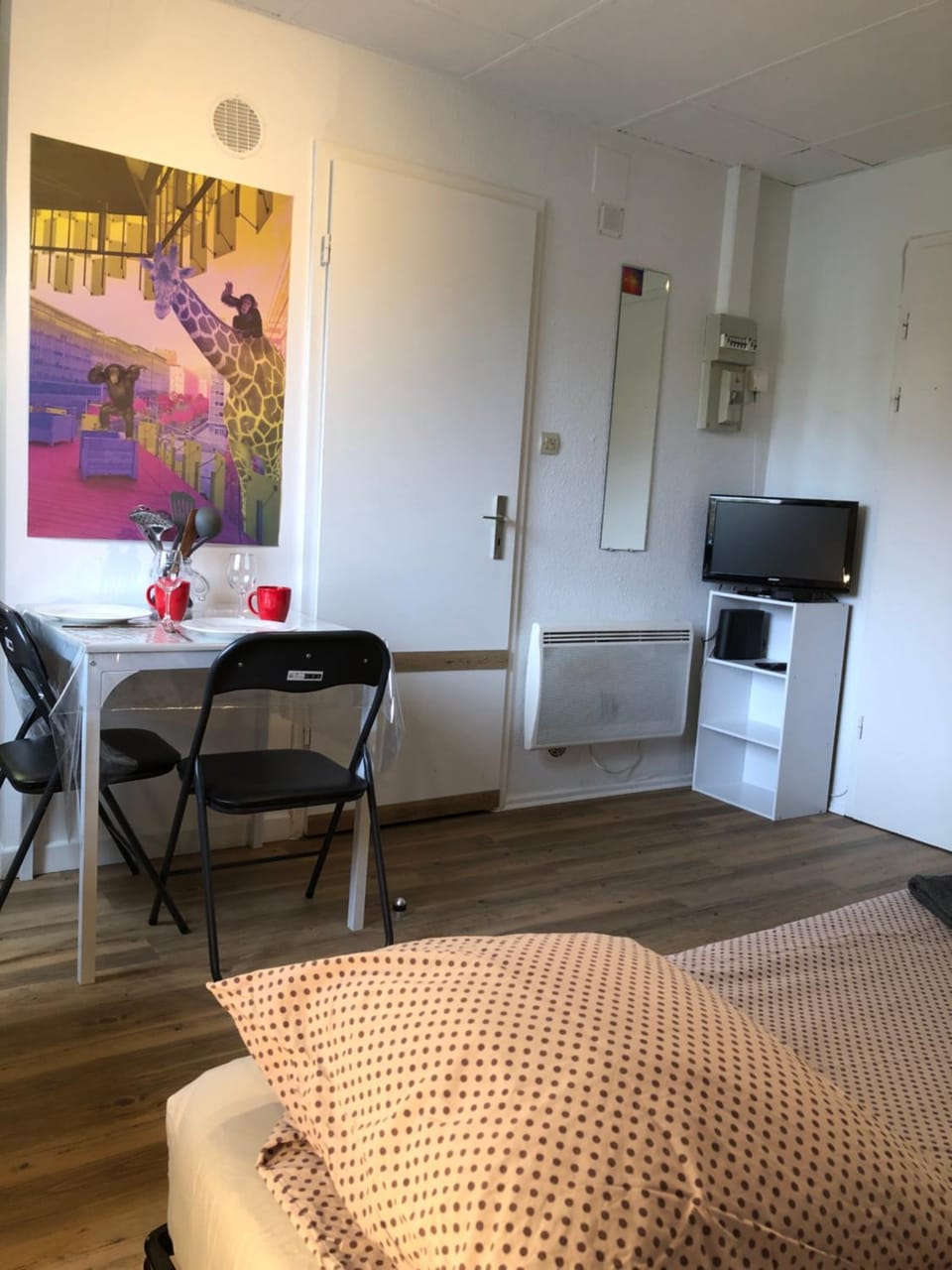 Photo of the whole room