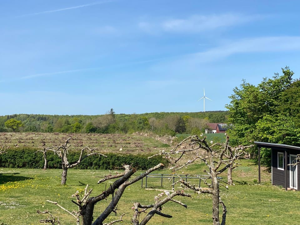 Off site, Neighbourhood, Natural landscape