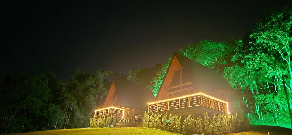 Night, Natural landscape, Garden, Garden view
