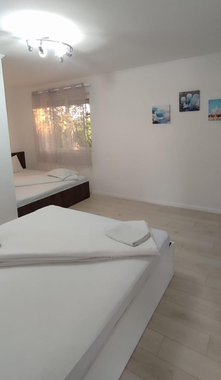 Pensiunea Casa Steli Bed and Breakfast in Timiș County