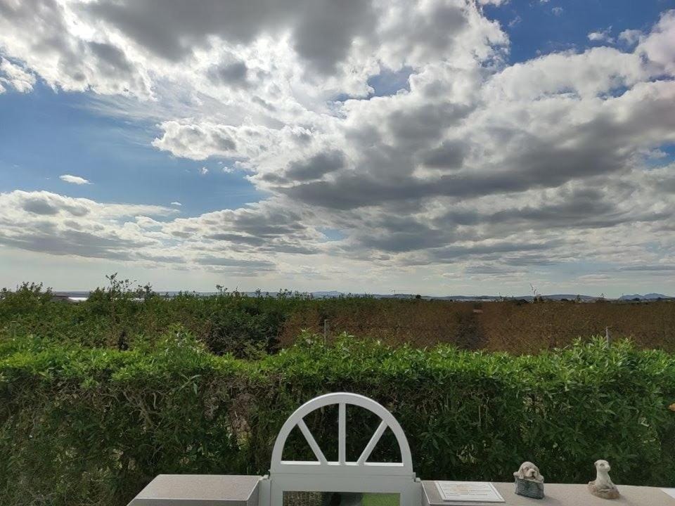Natural landscape
