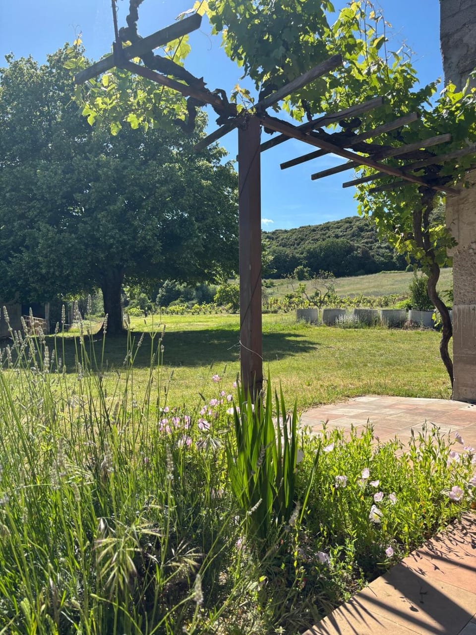 Villa Crusoe - Ardèche House in Provence