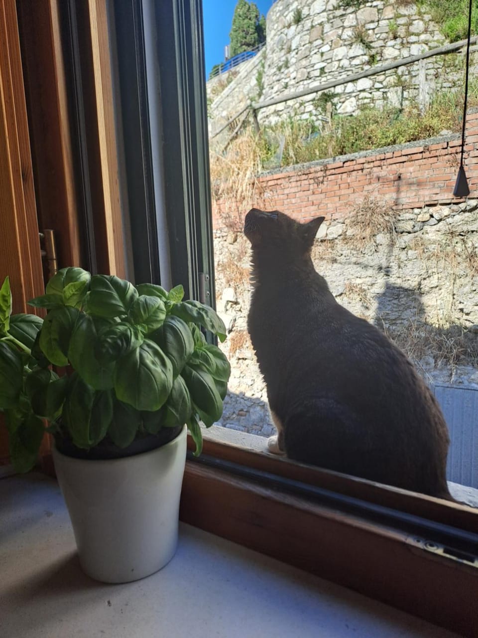 La casa nel castello Apartment in Rosignano Marittimo