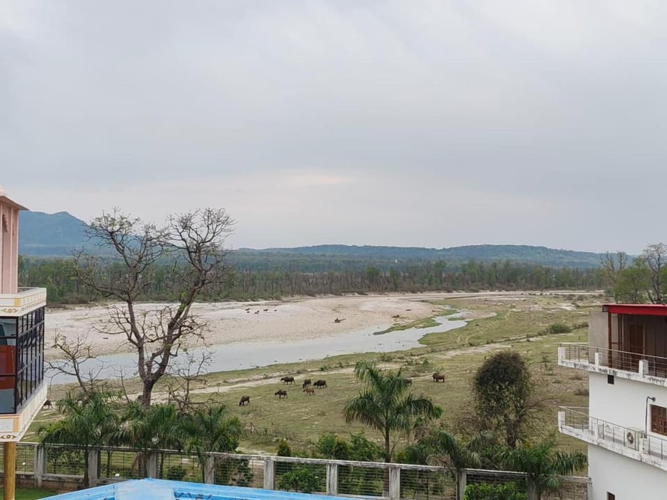 View (from property/room), Balcony/Terrace, Balcony/Terrace