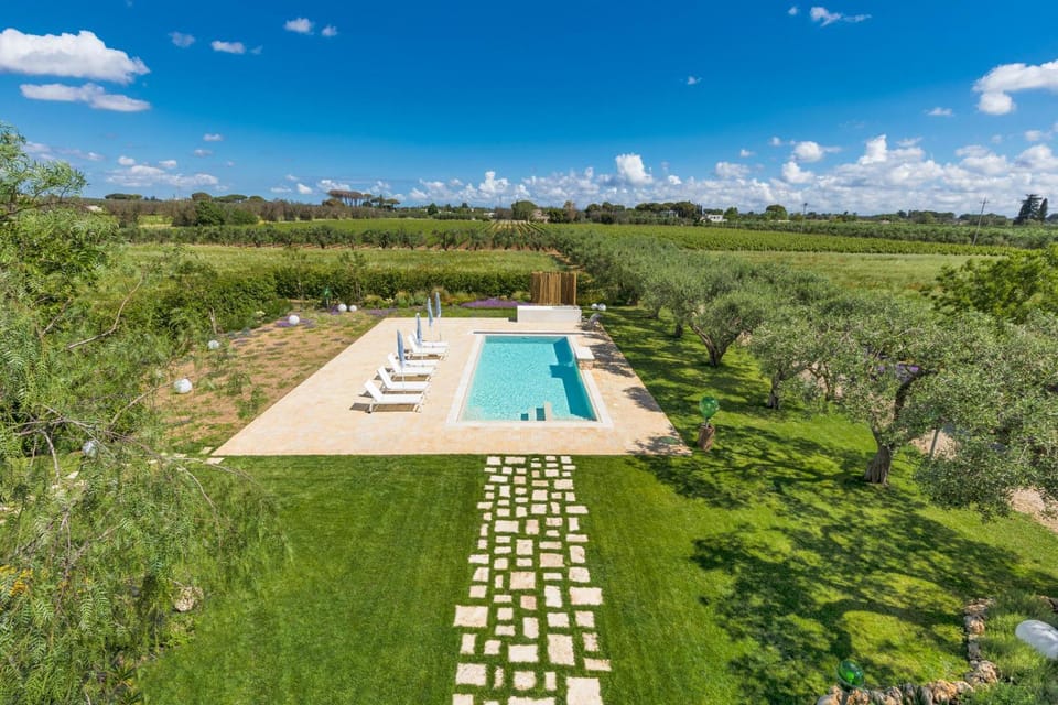 Garden, Garden view, Swimming pool