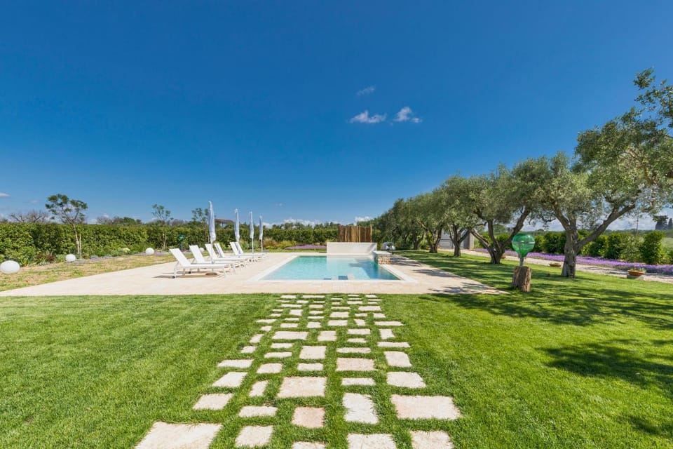Garden, Swimming pool, sunbed