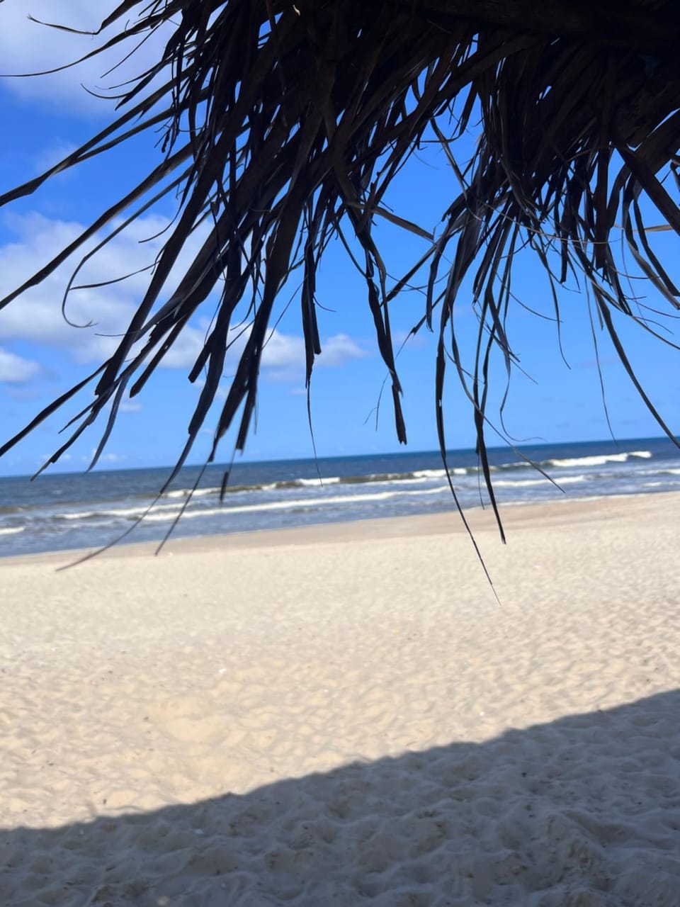 Day, Natural landscape, Beach