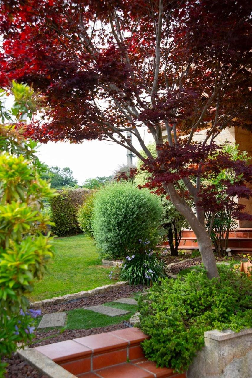 Natural landscape, Garden, Garden view