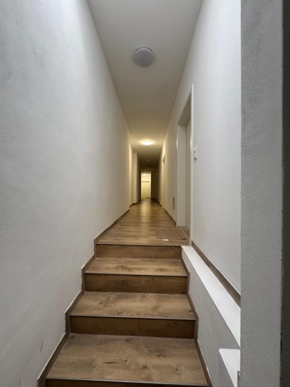 ToKa Appartement Apartment in Chemnitz