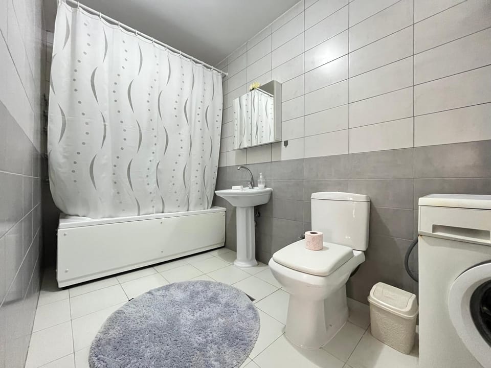 Modern & Spacious Apartment Apartment in Serbia