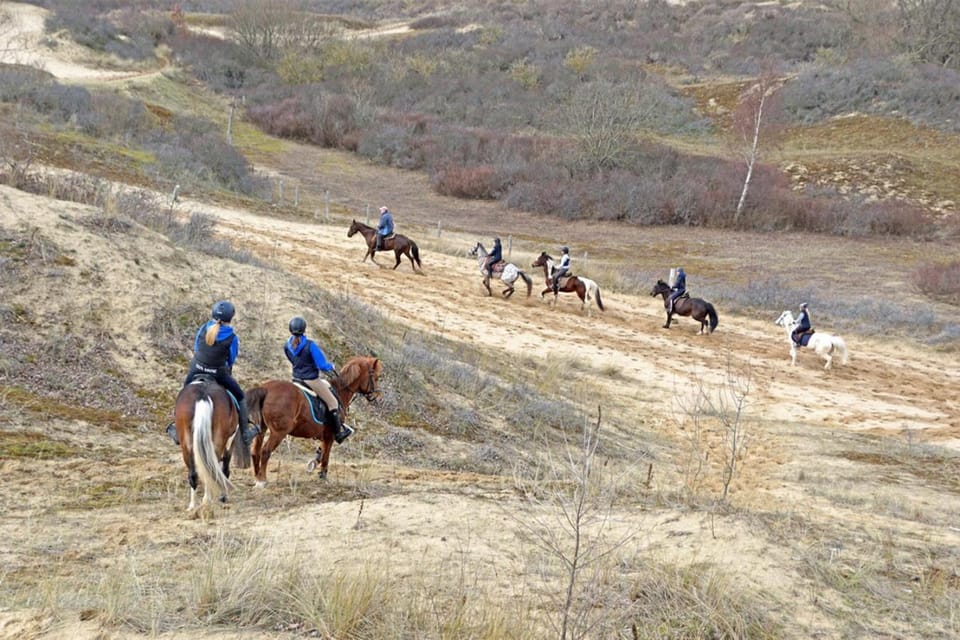 Horse-riding