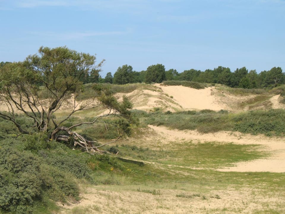 Natural landscape