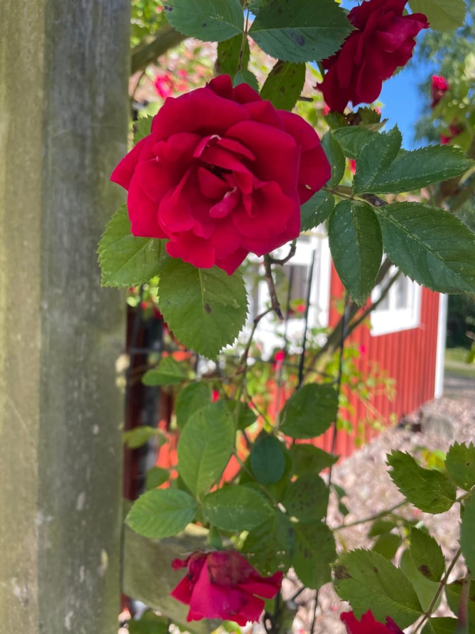 Gatans Gård sekelskiftshus Villa in Sweden