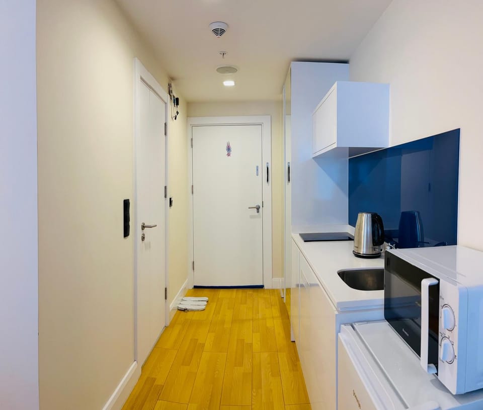 Kitchen or kitchenette, stove
