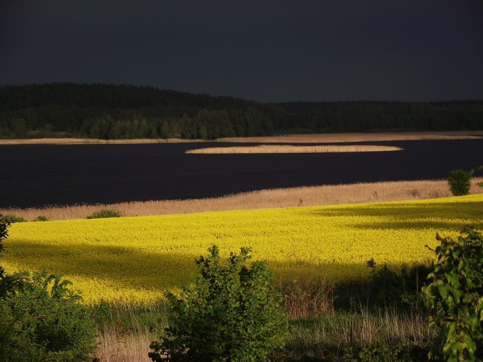 Day, Natural landscape, Lake view