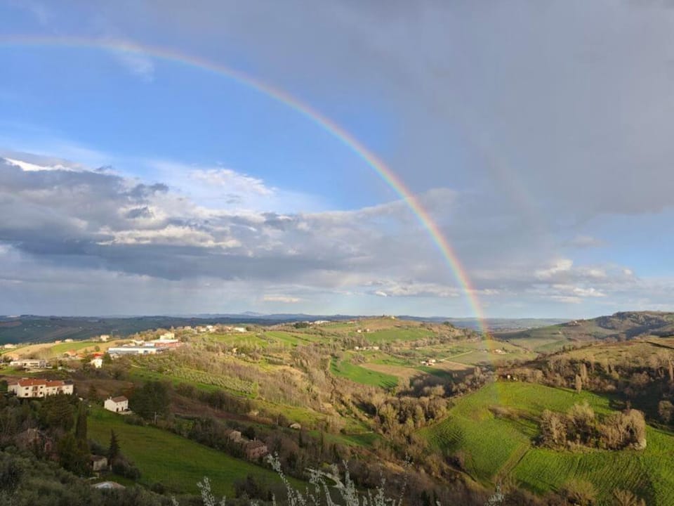 View (from property/room)