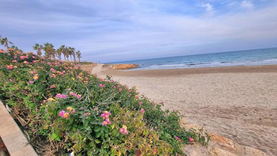 Jazmines apartment with flexible check-in Apartment in Vega Baja del Segura