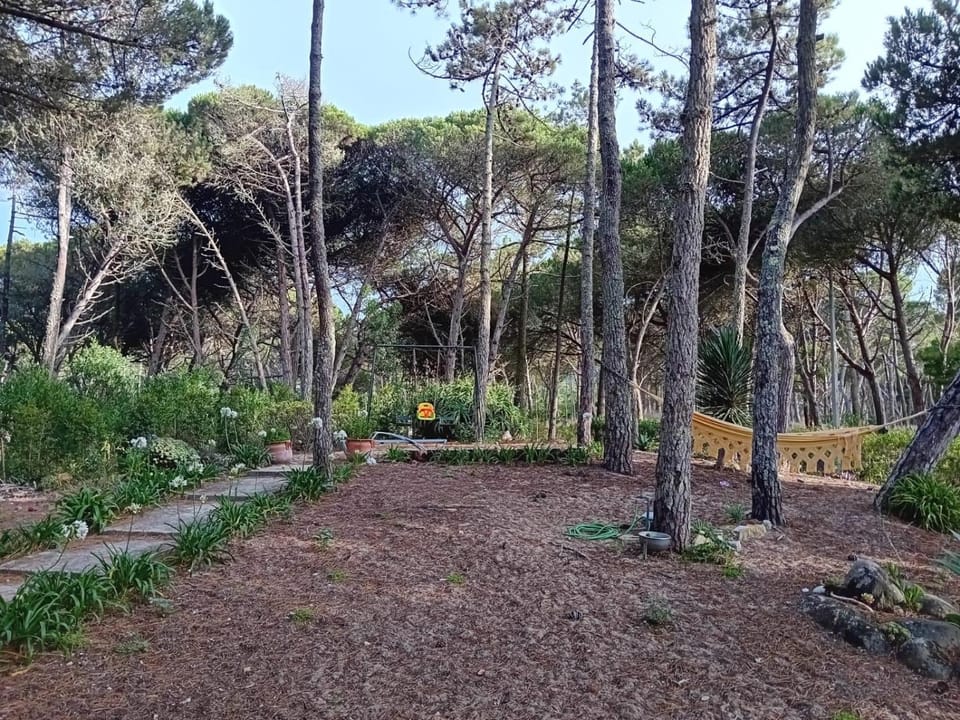 View (from property/room), Garden view