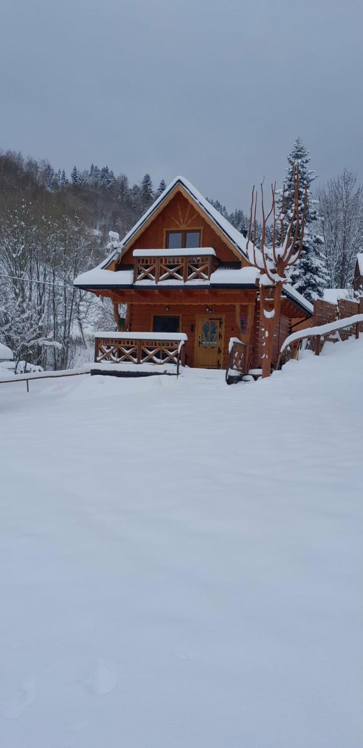 Natural landscape, Winter