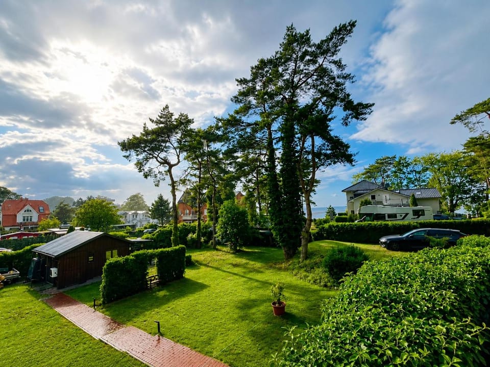 Garden view