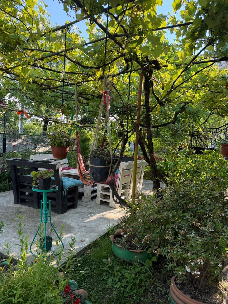 Dadu's Guesthouse Bed and Breakfast in Georgia