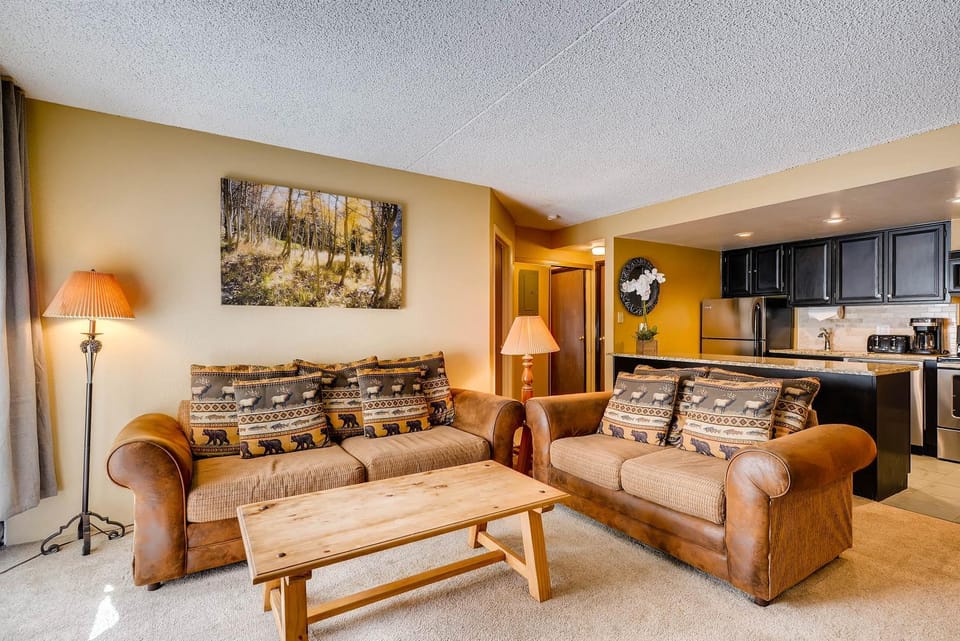 Trails End 219 by Ski Country Resorts Apartment in Breckenridge