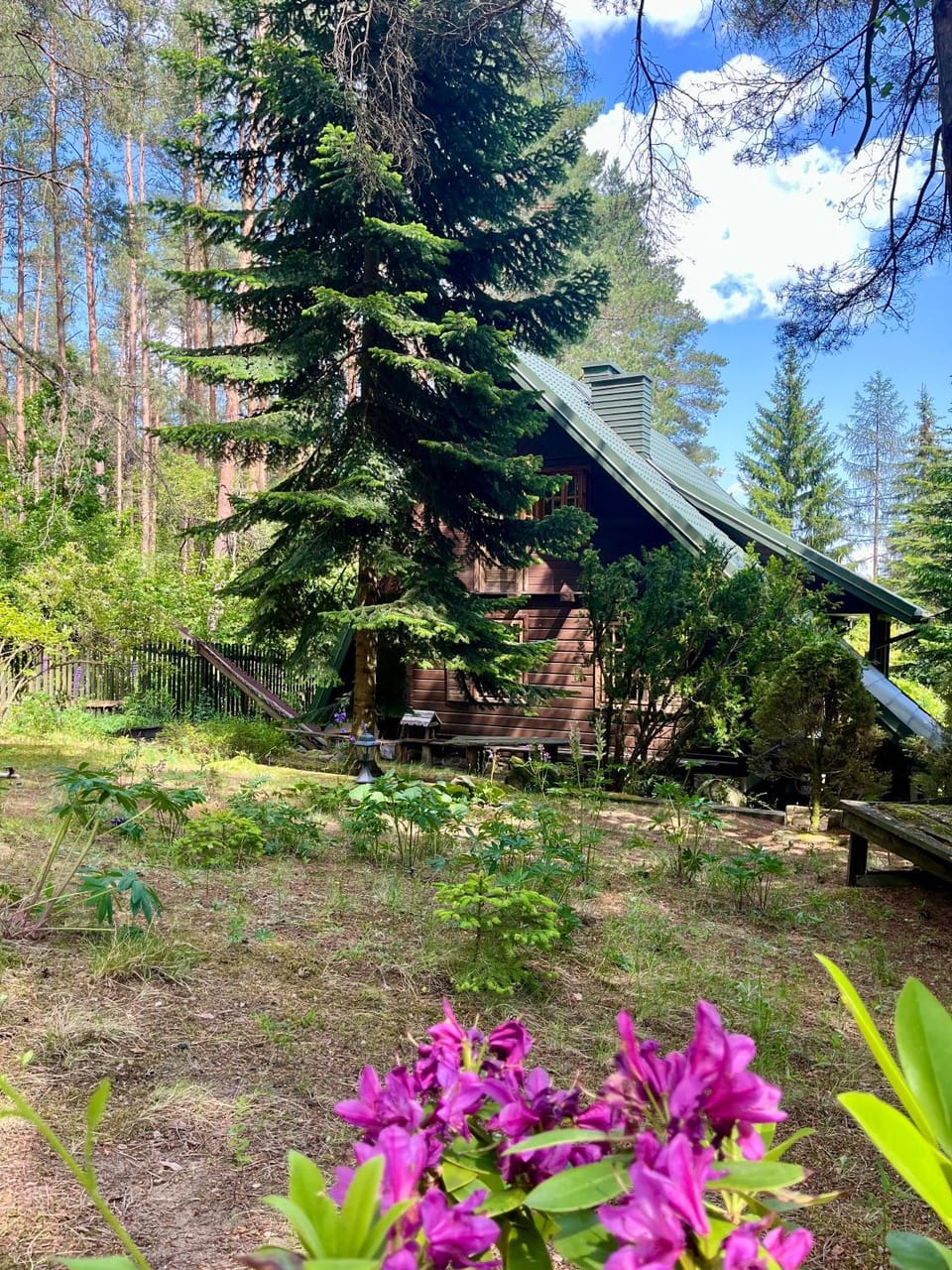 House in the forest in Podlasie House in Belarus