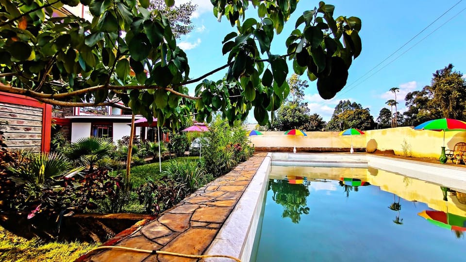Garden, Garden view, Pool view, Swimming pool