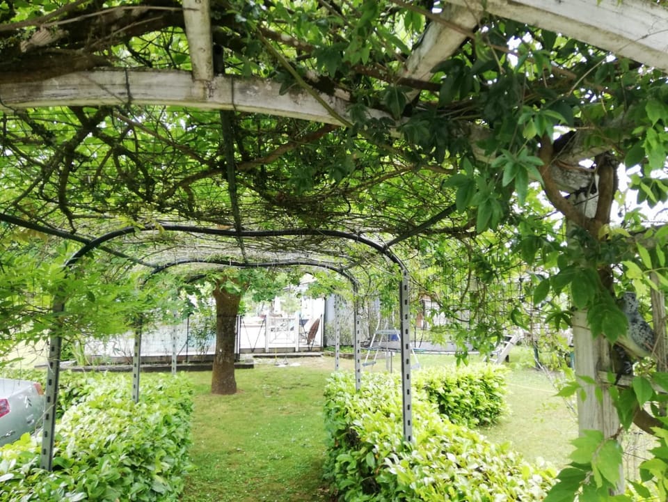 Maison familiale au calme avec piscine en bordure de forêt House in Mios