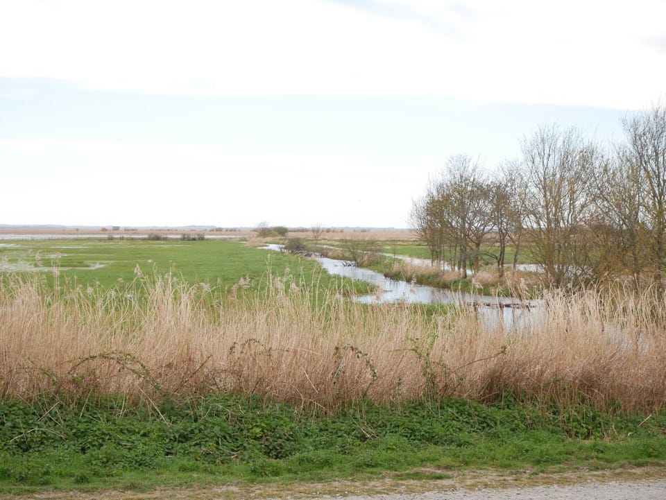 La Grande Pêcherie Bed and Breakfast in Pays de la Loire