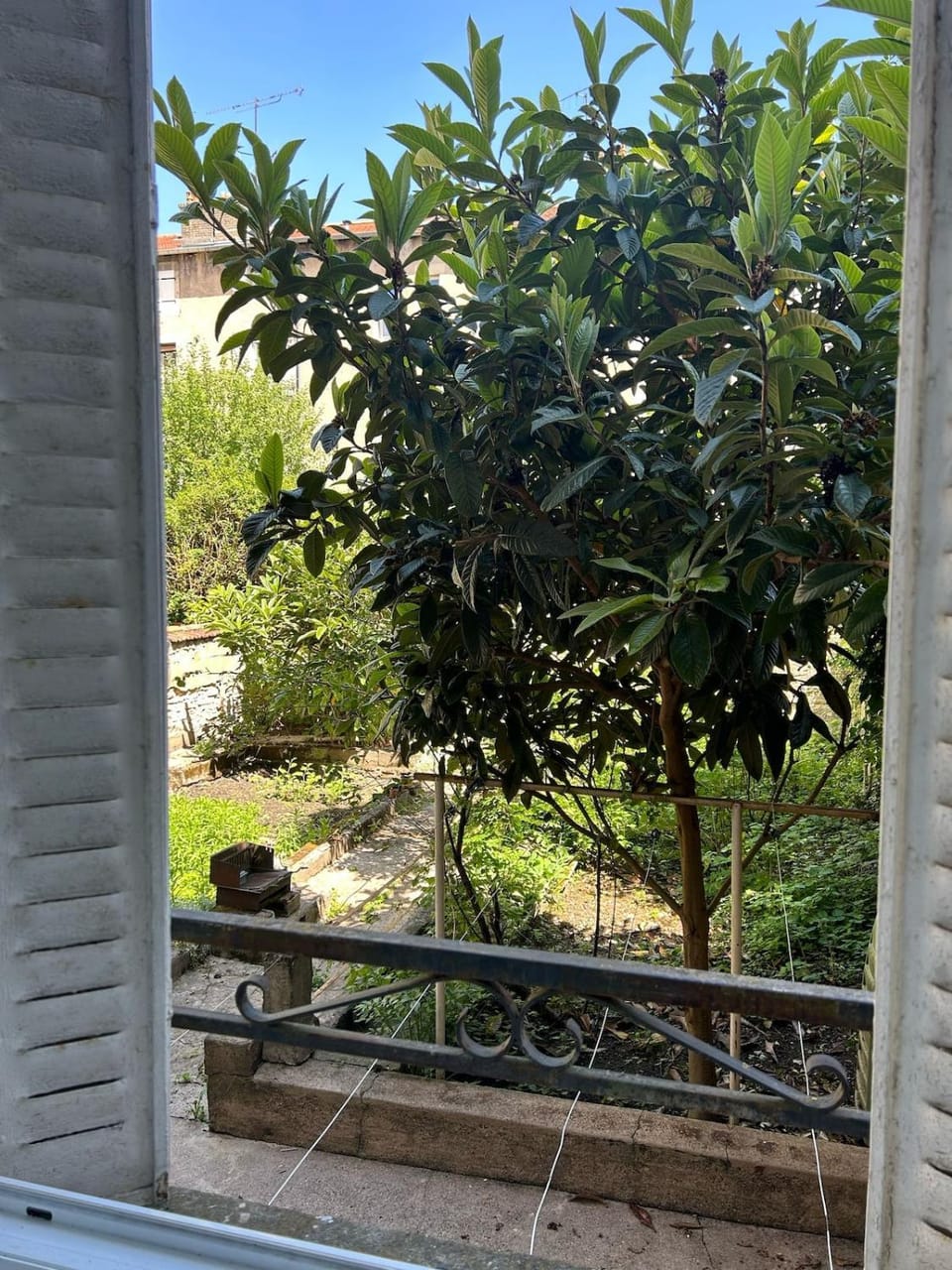 Appartement calme avec jardin Apartment in Nancy