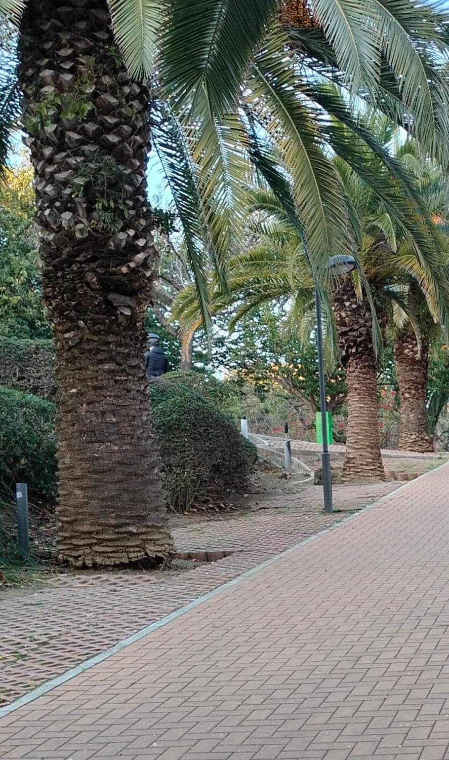 Natural landscape, Garden