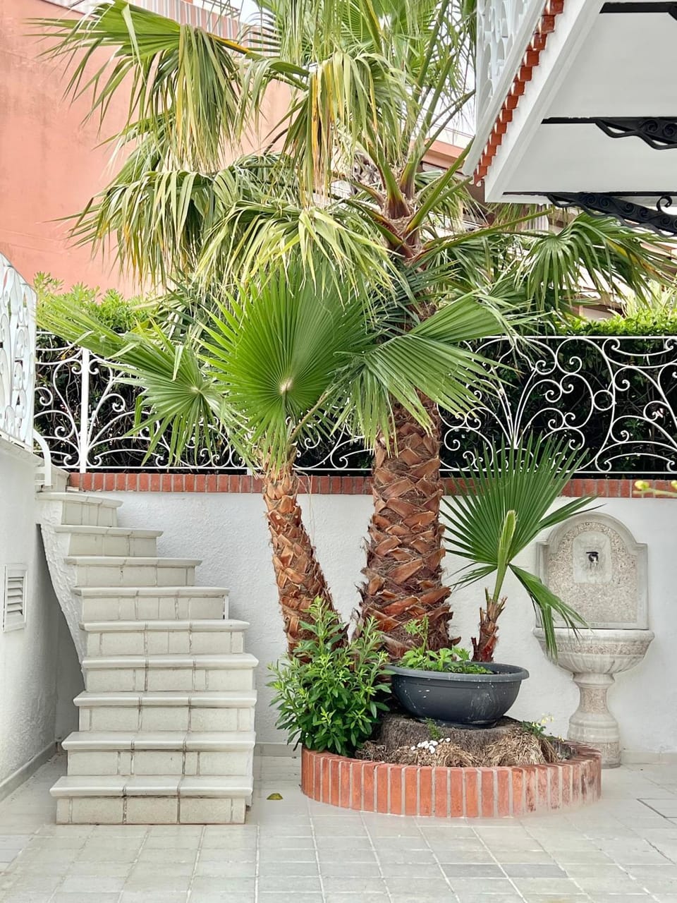 Balcony/Terrace, Garden view
