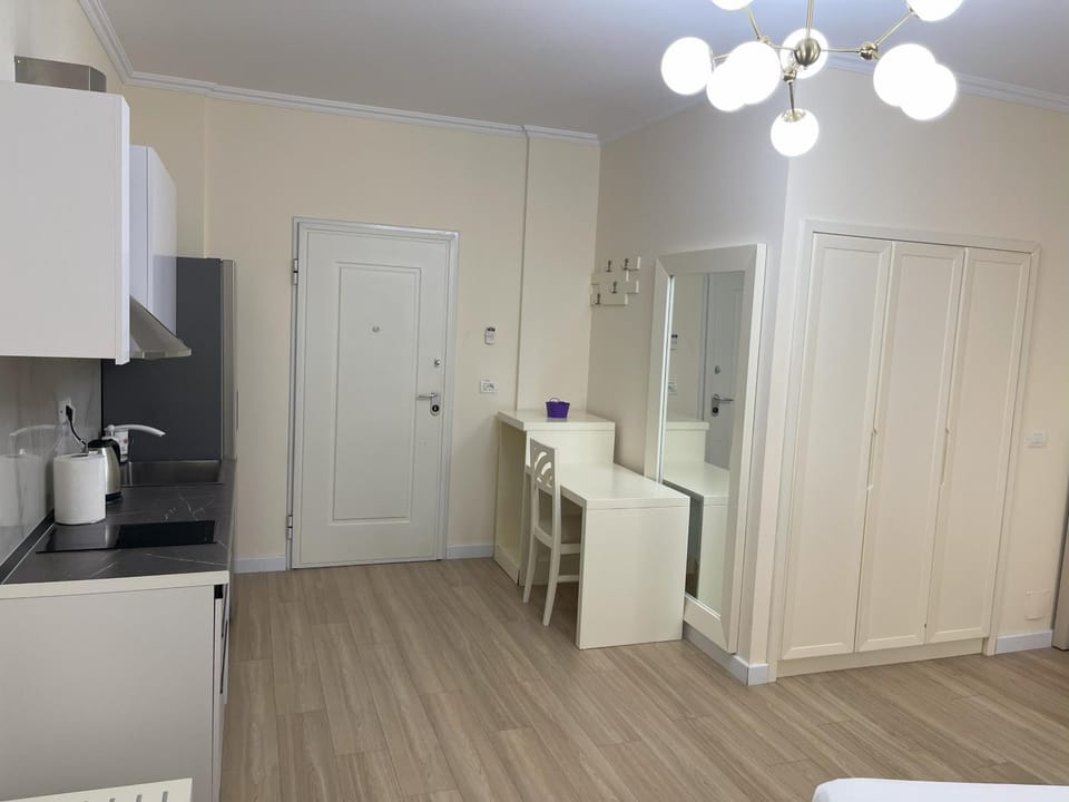 Kitchen or kitchenette, stove, wardrobe