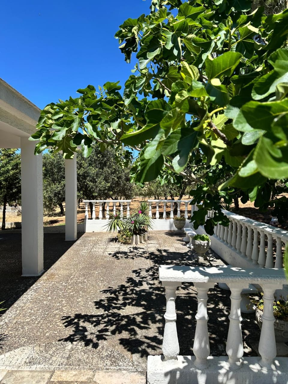 Spring, Day, Garden, Garden view