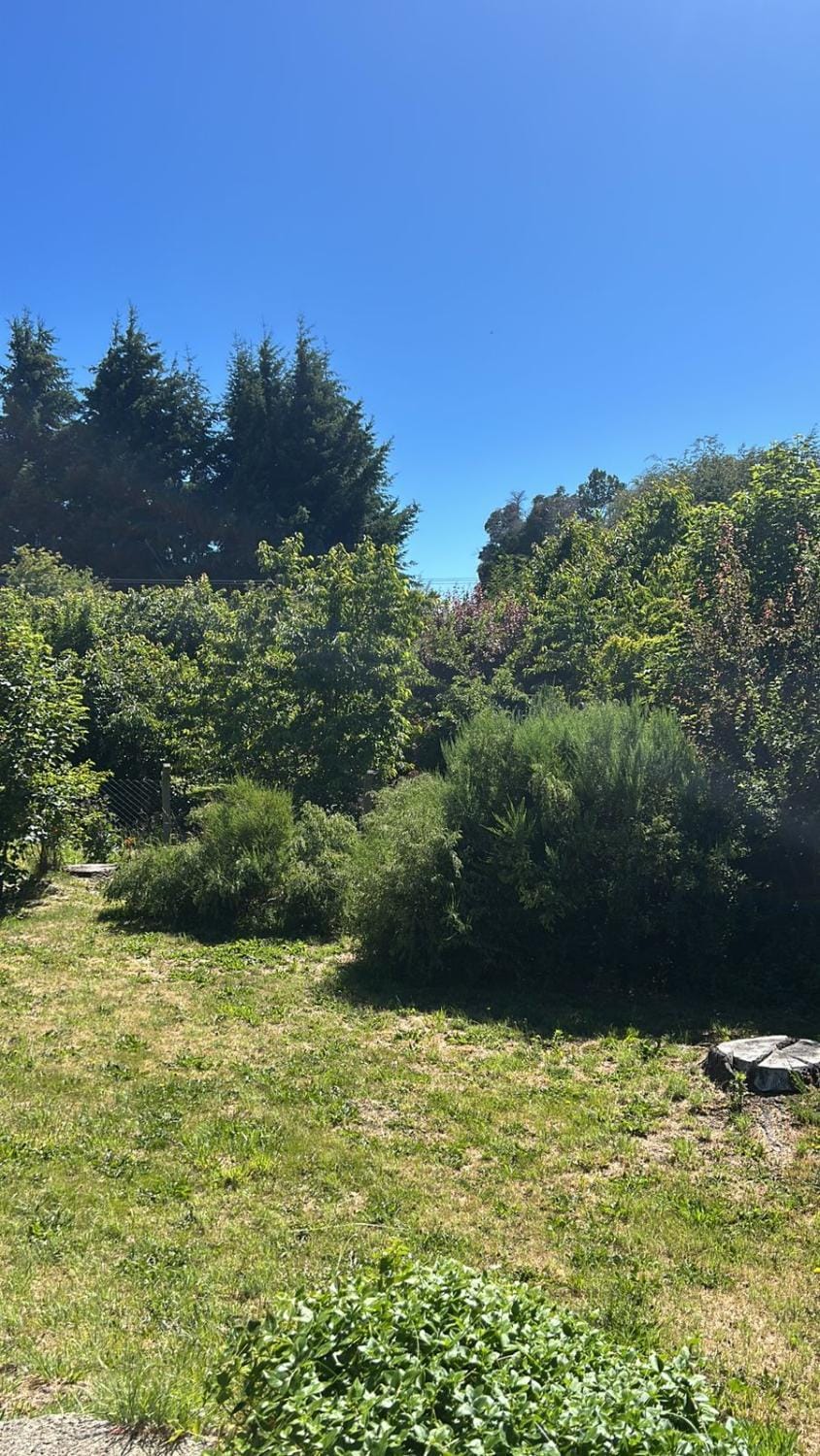 Natural landscape, View (from property/room), Garden view