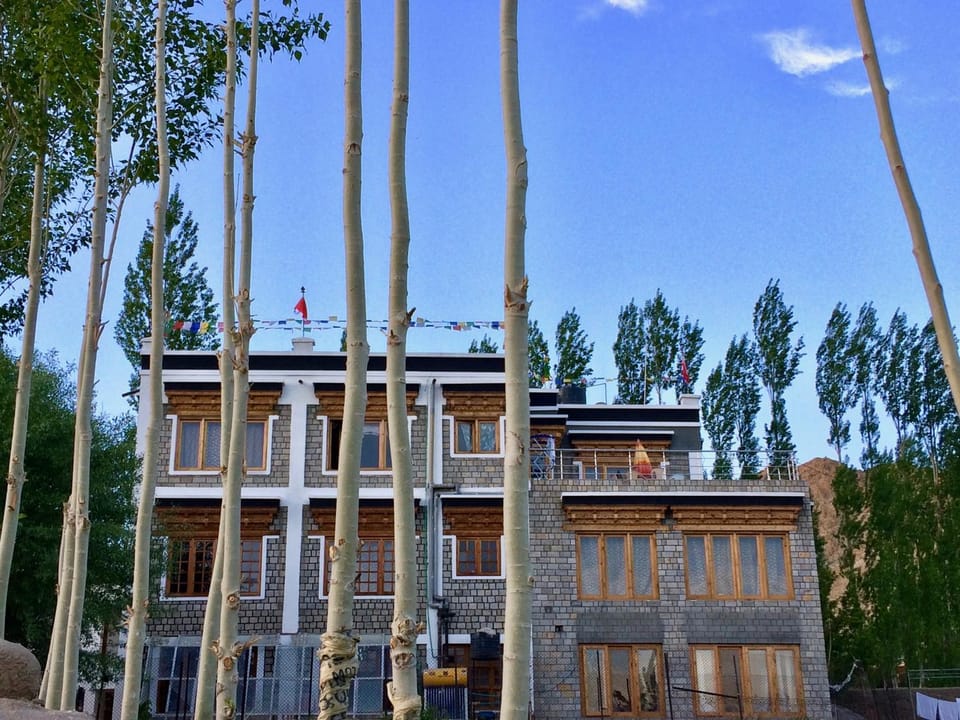 Property building, Summer, On site, Street view, Time of day