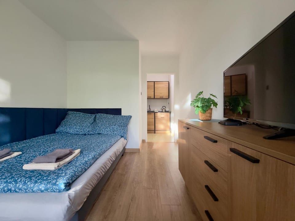 Bed, TV and multimedia, Living room, Photo of the whole room, Seating area, Bedroom