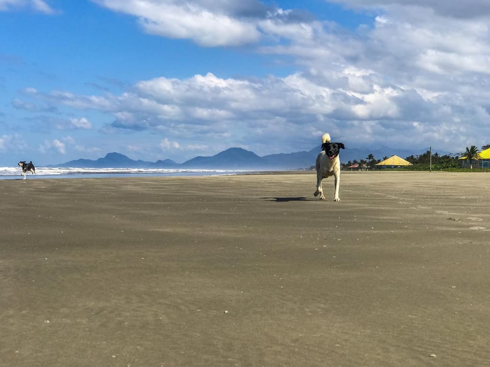 Natural landscape, Beach, Beach