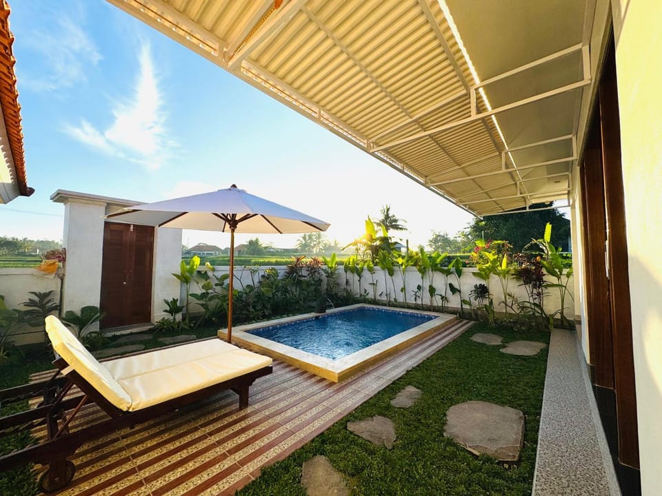 Patio, Day, Natural landscape, Garden, Garden, Garden view, Pool view, Swimming pool, sunbed