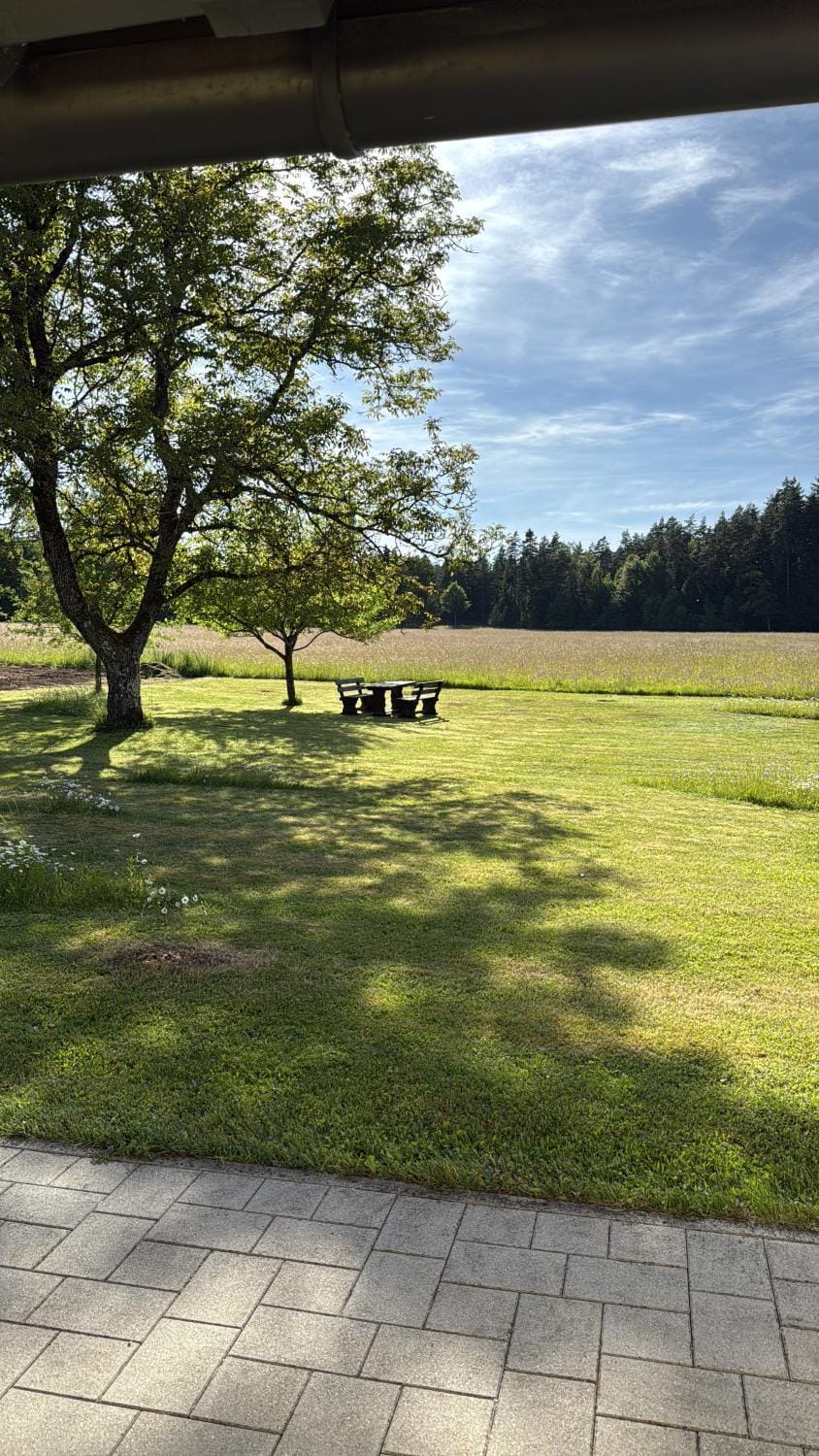 Natural landscape, Garden, Garden view