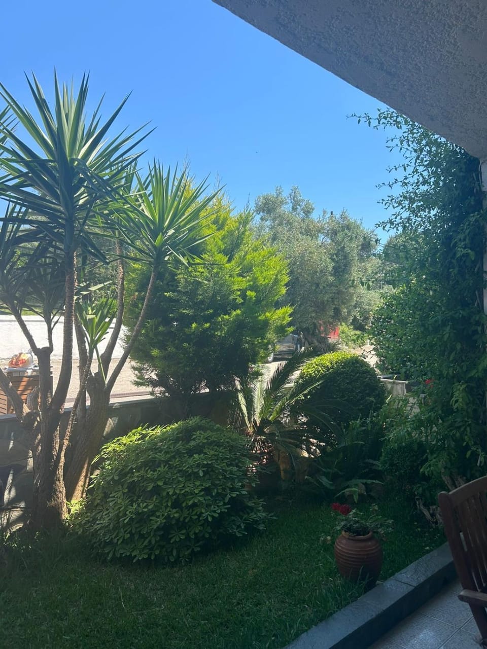 Garden, Garden, Garden view