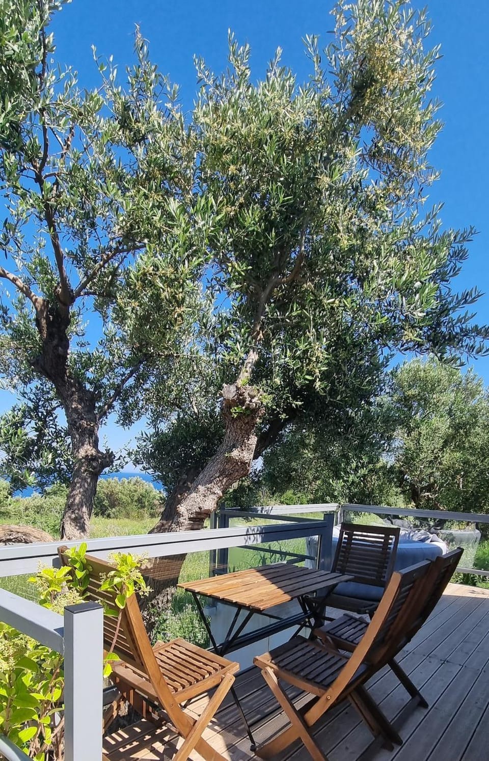 Spring, Garden, Seating area