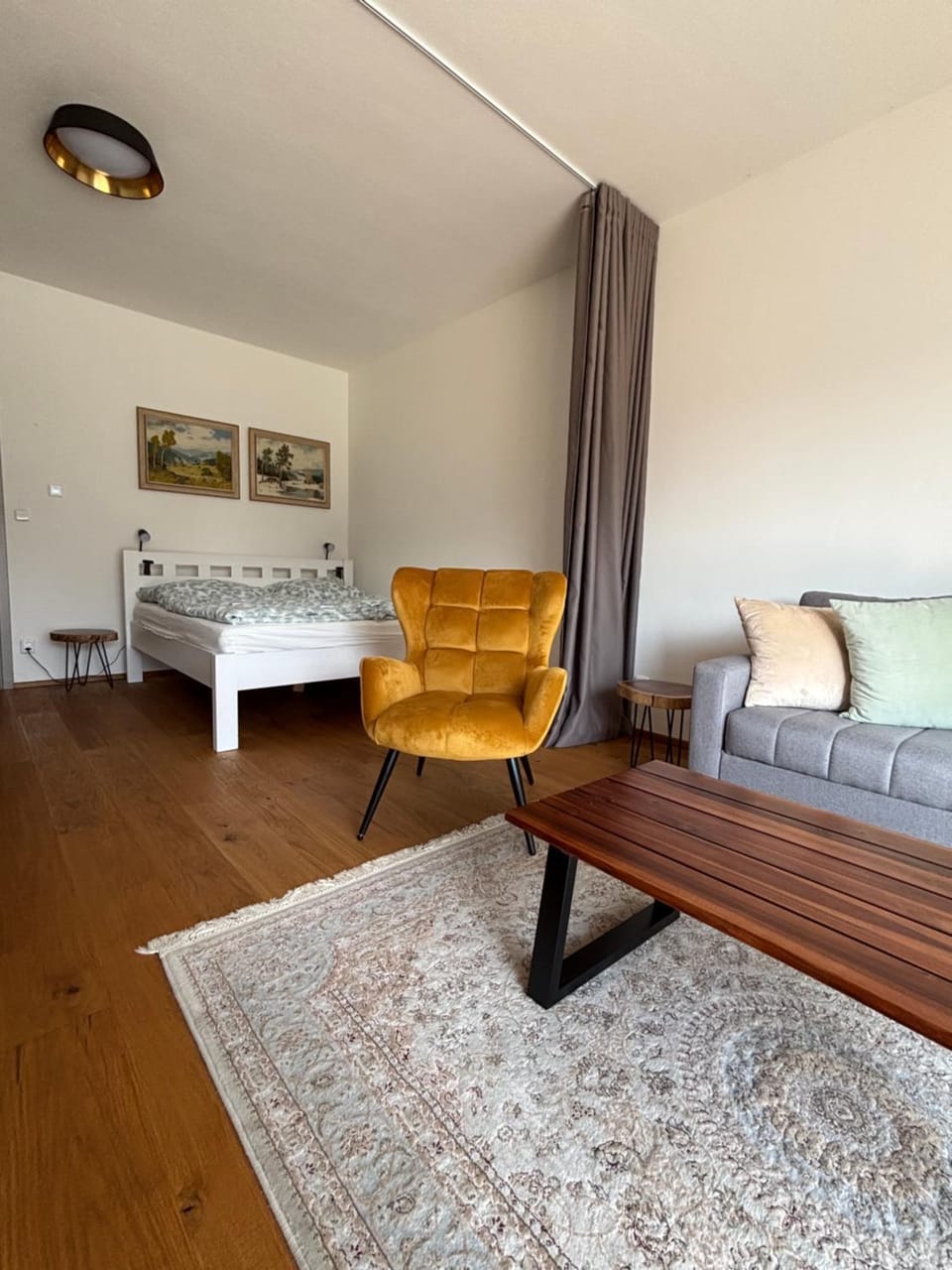 Bed, Living room, Photo of the whole room, Seating area, Bedroom